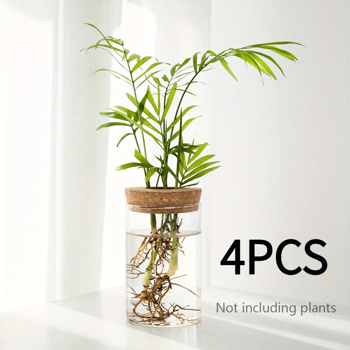 Glass Hydroponic Planter Vase