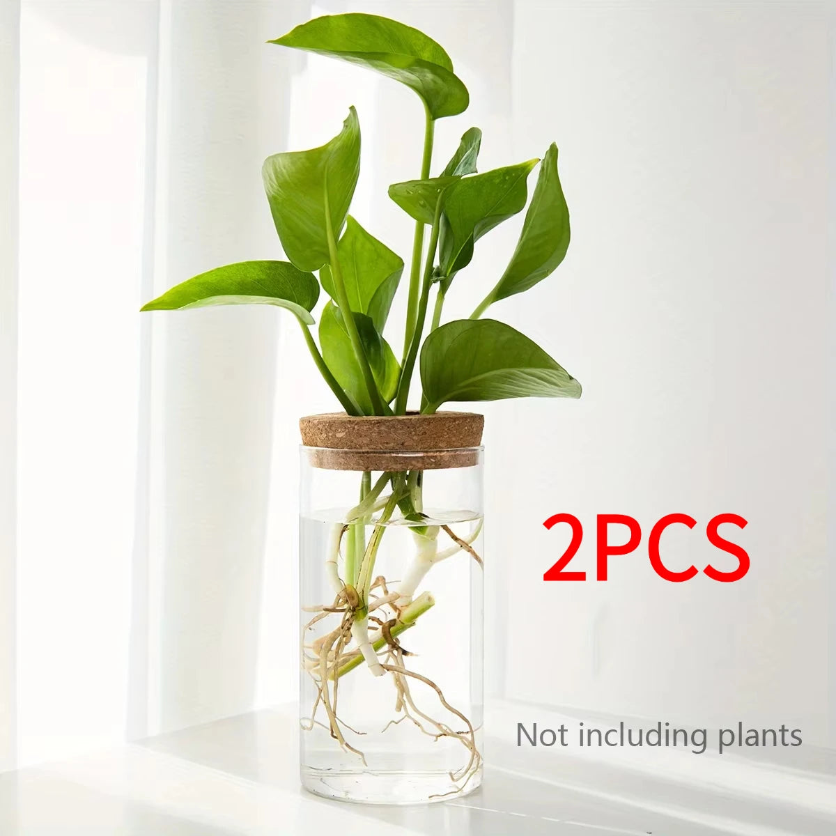 Glass Hydroponic Planter Vase