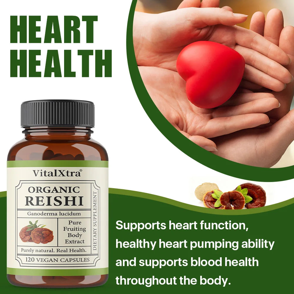 Reishi Mushroom Immune Support Capsules