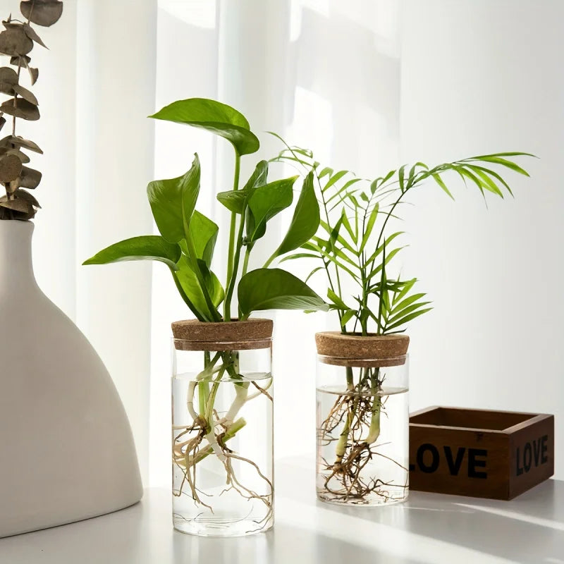 Glass Hydroponic Planter Vase