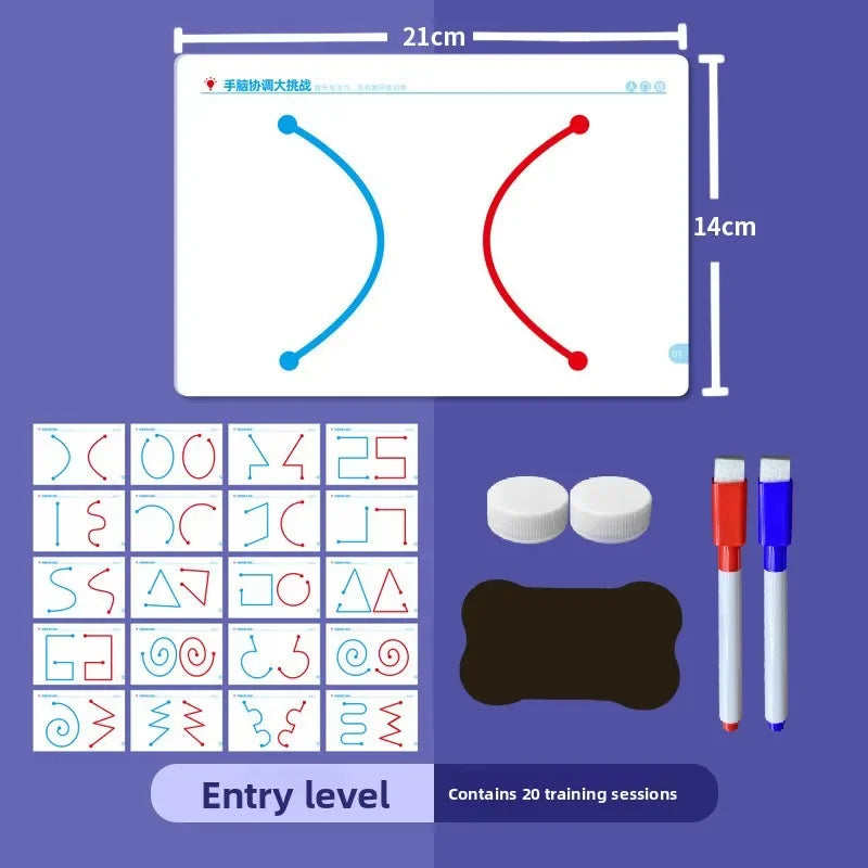 Whole Brain Thinking Training Improving 20 Pages Brain Collaboration Training Cards Concentration Attention Fine Motor Cards