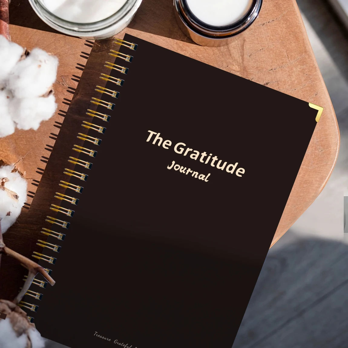 Gratitude & Mindfulness Journal