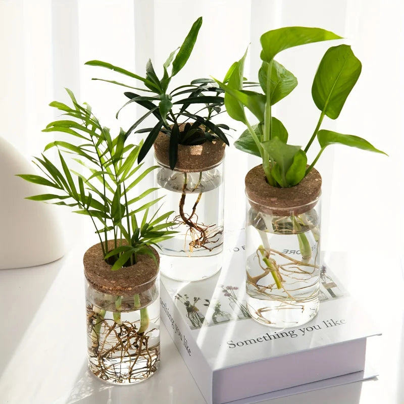 Glass Hydroponic Planter Vase