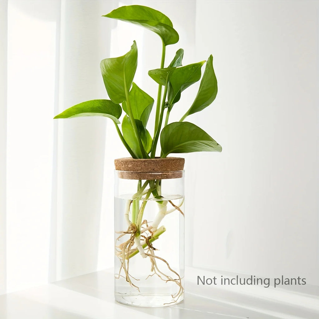 Glass Hydroponic Planter Vase