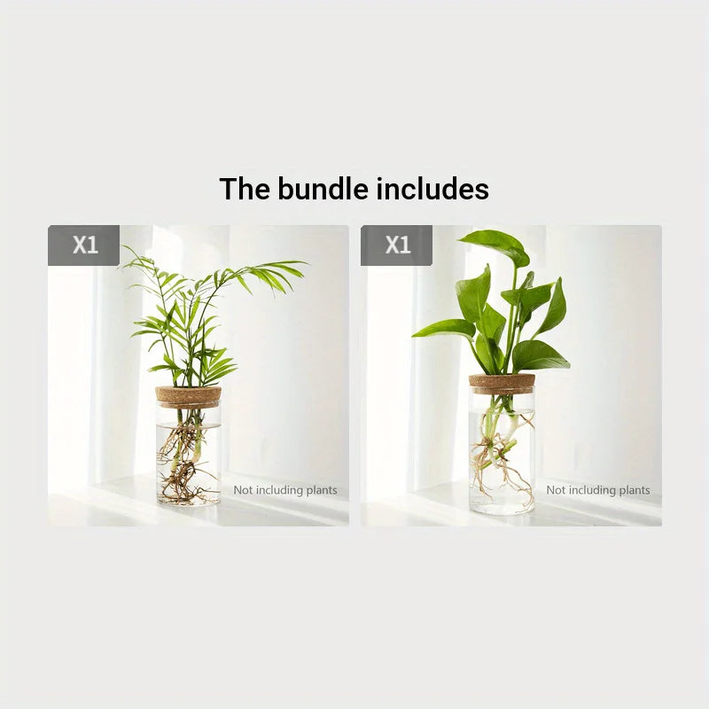 Glass Hydroponic Planter Vase