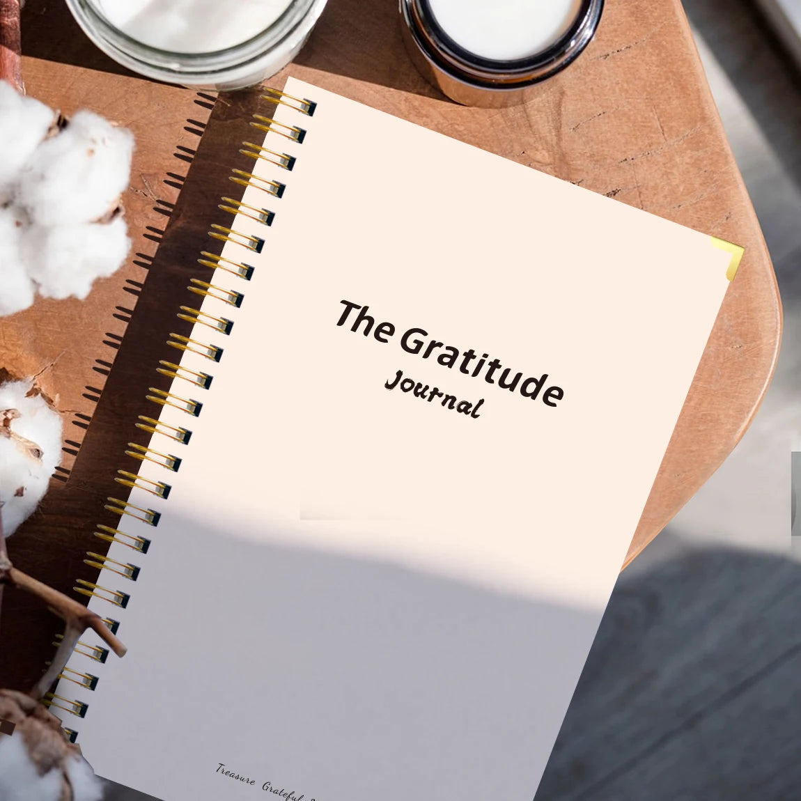 Gratitude & Mindfulness Journal