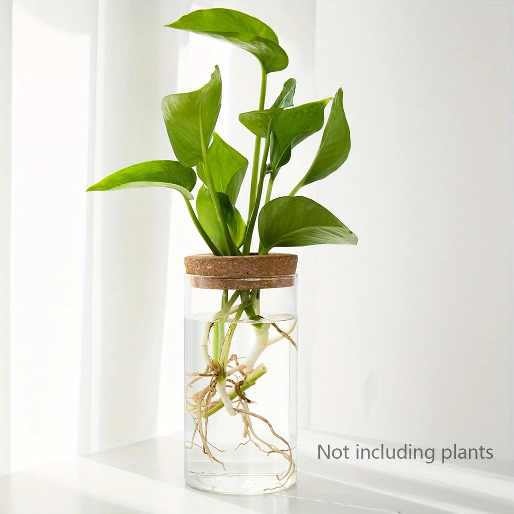 Glass Hydroponic Planter Vase