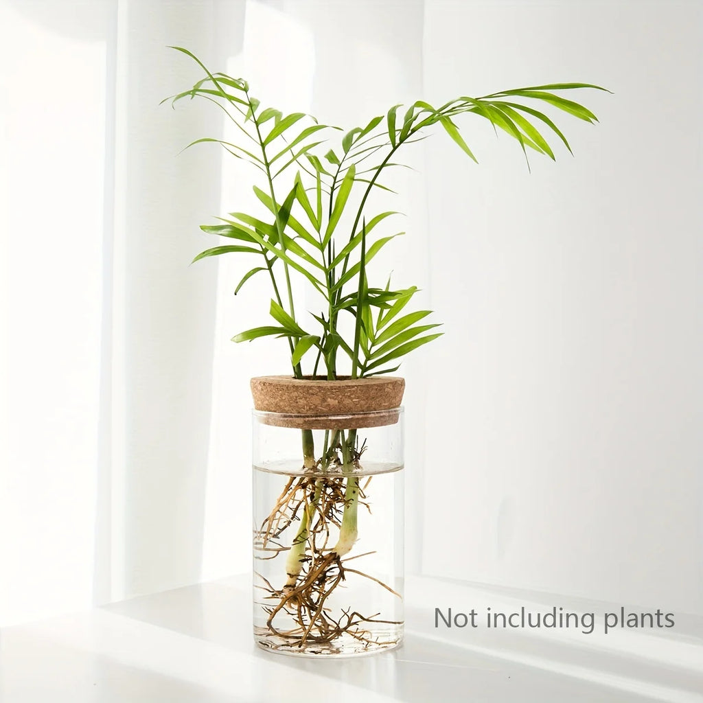 Glass Hydroponic Planter Vase