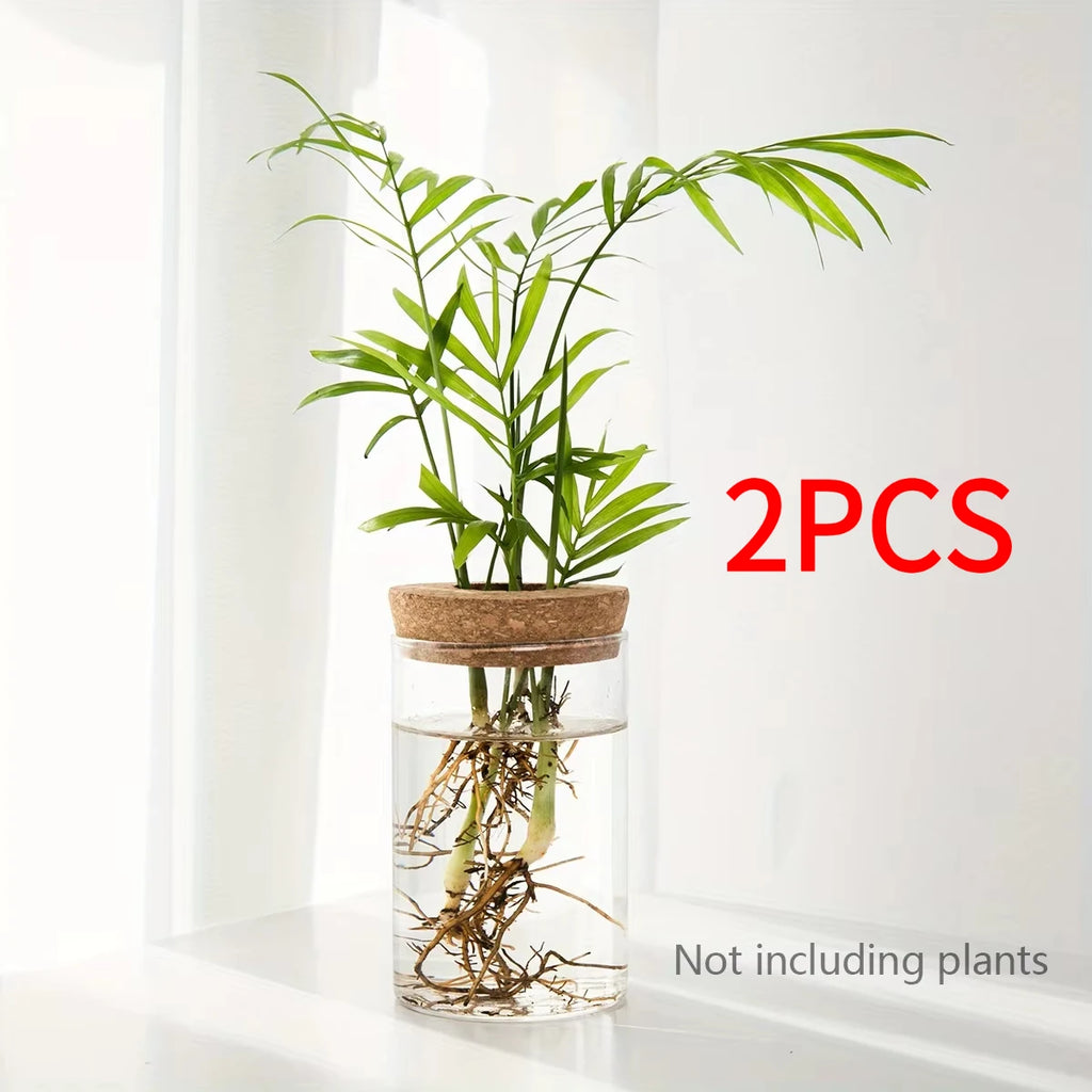 Glass Hydroponic Planter Vase