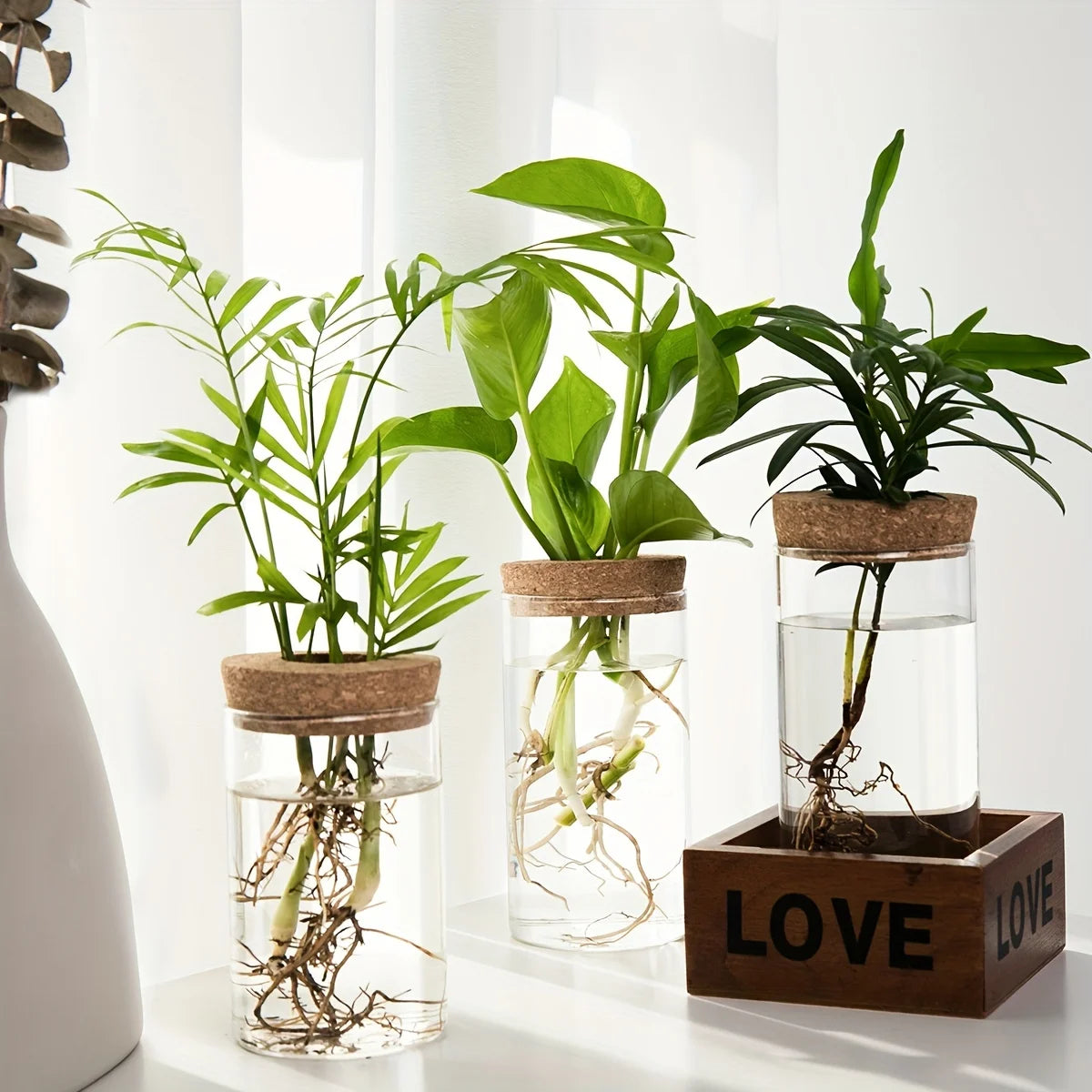 Glass Hydroponic Planter Vase
