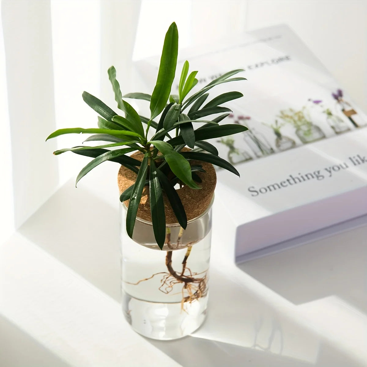 Glass Hydroponic Planter Vase