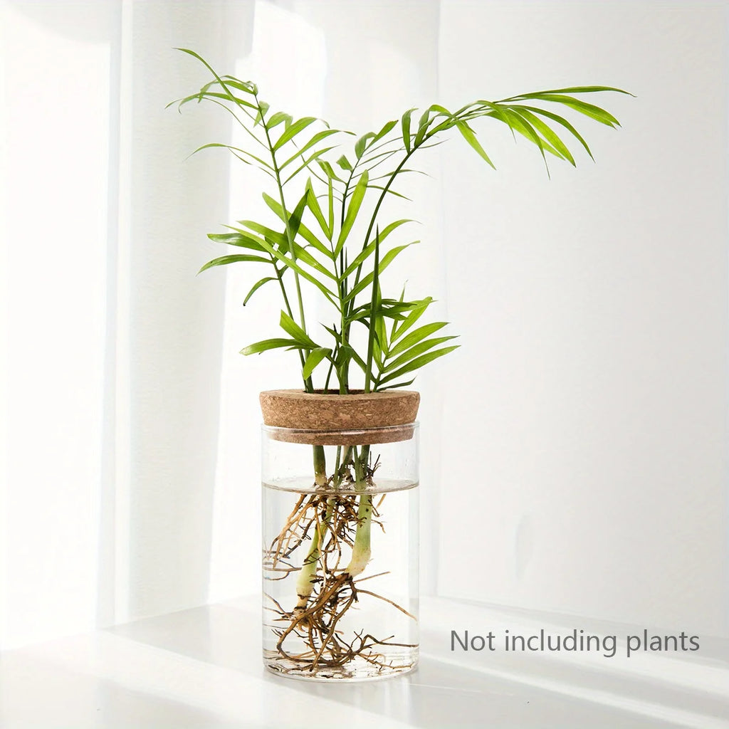 Glass Hydroponic Planter Vase