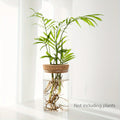 Glass Hydroponic Planter Vase
