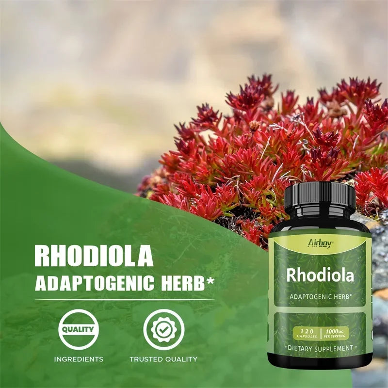Rhodiola Rosea Supplement