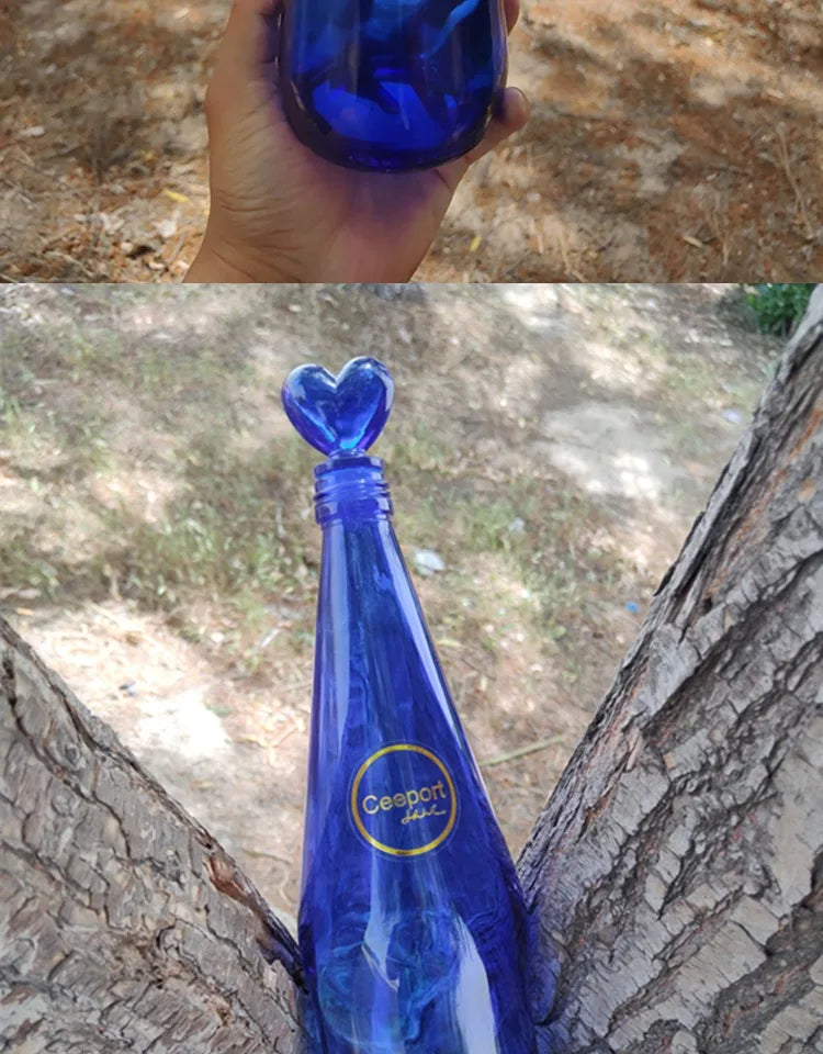 Blue Glass Bottle Collection