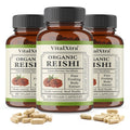 Reishi Mushroom Immune Support Capsules