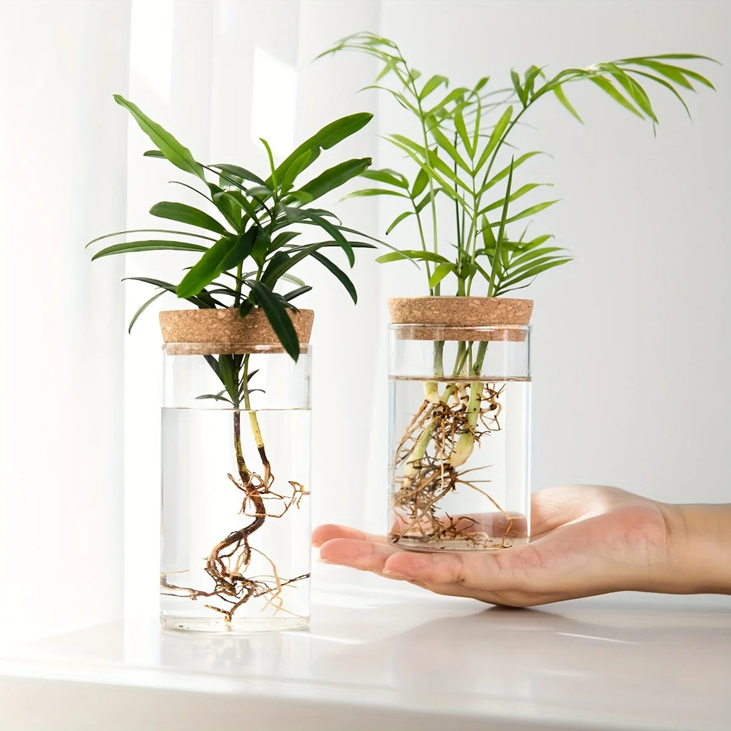 Glass Hydroponic Planter Vase