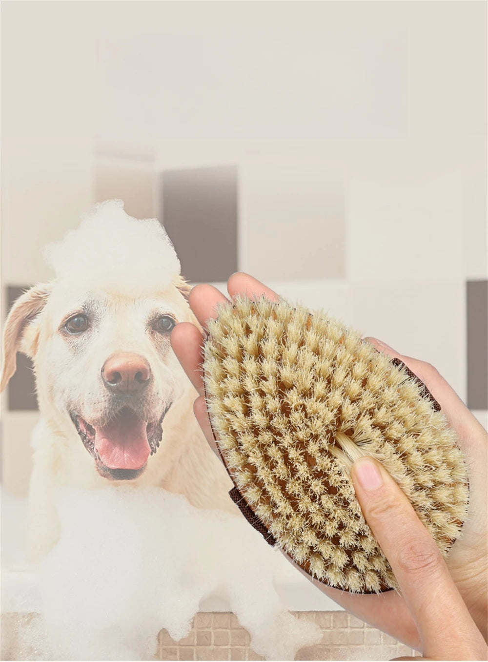 Natural Bristle Dry Body Brush