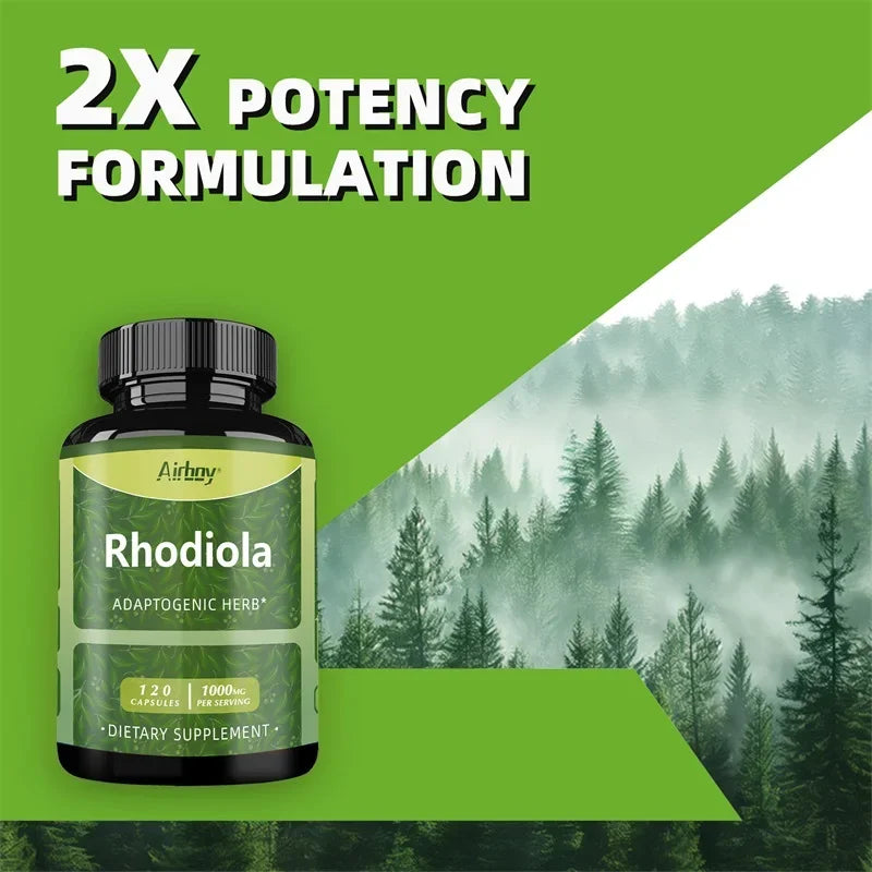 Rhodiola Rosea Supplement