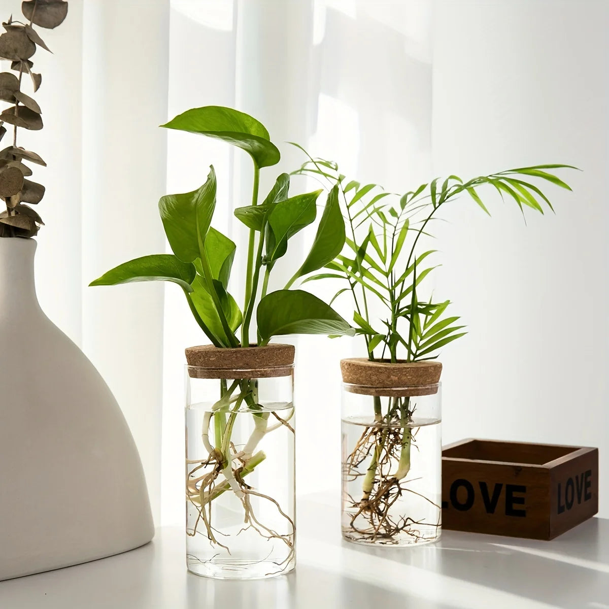Glass Hydroponic Planter Vase